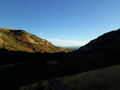 sunny grassy hill on the hike